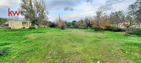 Οικόπεδο 1.000τ.μ. για πώληση-Ερίνεο