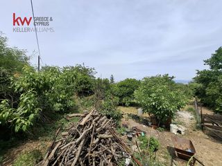 Οικόπεδο 1.000 τ.μ. για πώληση, Αχαΐα, Μεσσατίδα-thumb-3