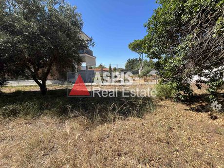 Land plot 2.200sqm for sale-Krioneri