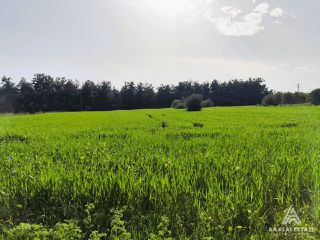 Parcel 6.000 sqm for sale