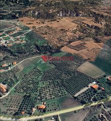 Αγροτεμάχια 14.425 τ.μ. για πώληση, Ν. Σερρών, Σέρρες-thumb-3