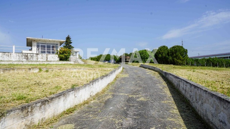 Επιχειρηματικό κτίριο 285 τ.μ. προς πώληση, Σέσκλο