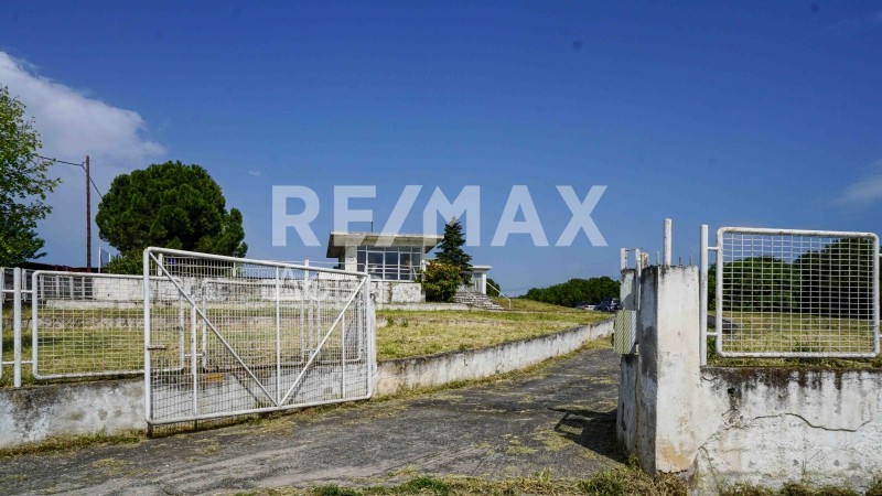 Επιχειρηματικό κτίριο 285 τ.μ. προς πώληση, Σέσκλο
