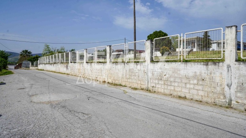 Επιχειρηματικό κτίριο 285 τ.μ. προς πώληση, Σέσκλο