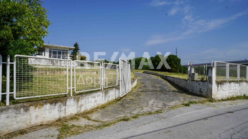 Επιχειρηματικό κτίριο 285 τ.μ. προς πώληση, Σέσκλο