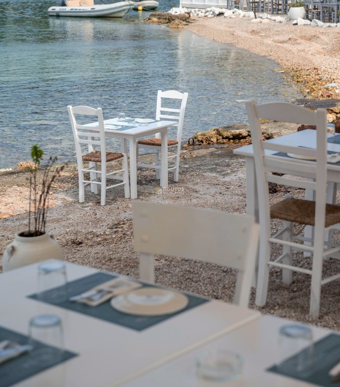 Επιχείρηση 110,40 τ.μ. πρός πώληση, Νησιά Αργοσαρωνικού, Σπέτσες