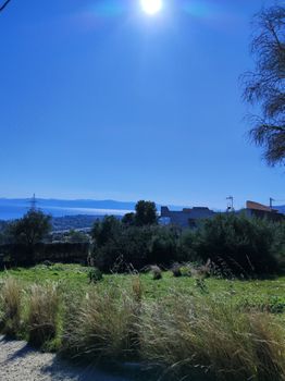 Αγροτεμάχια 260 τ.μ. για πώληση