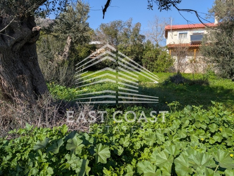 Οικόπεδο 353 τ.μ. πρός πώληση, Αθήνα - Ανατολικά Προάστια, Νέα Μάκρη