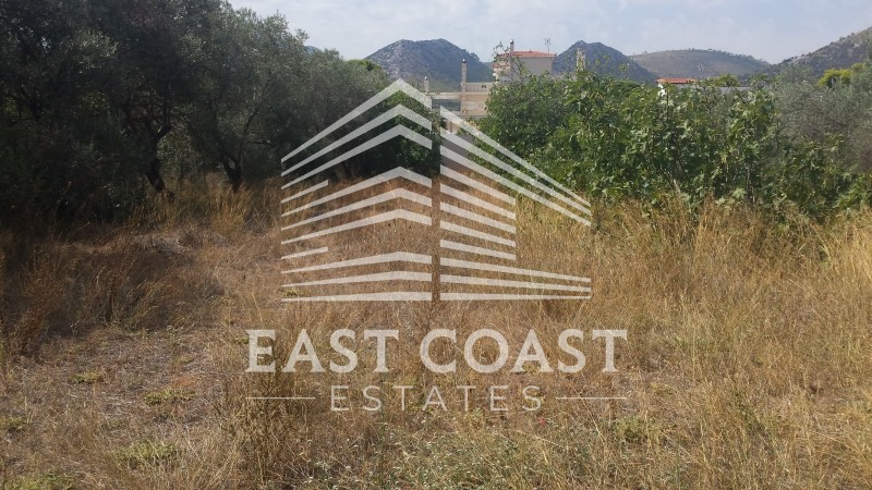 Οικόπεδο 1.340 τ.μ. πρός πώληση, Αθήνα - Ανατολικά Προάστια, Νέα Μάκρη