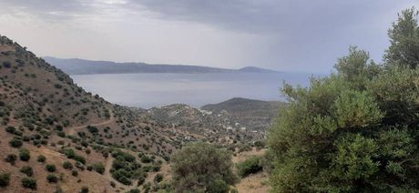 Οικόπεδο 7.150τ.μ. για πώληση-Λάμπη » Μέλαμπες