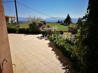Διαμέρισμα 146 τ.μ. για πώληση, Εύβοια, Μεσσαπία-thumb-7