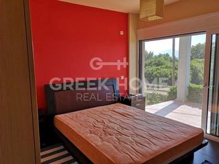 Διαμέρισμα 146 τ.μ. για πώληση, Εύβοια, Μεσσαπία-thumb-29
