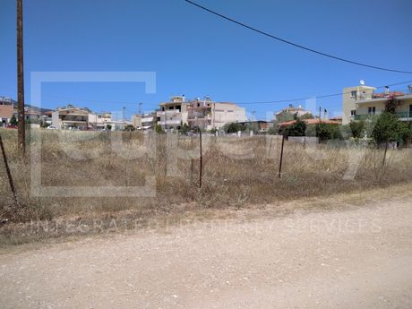 Οικόπεδο 526τ.μ. για πώληση-Αχαρνές » Πάρνηθα