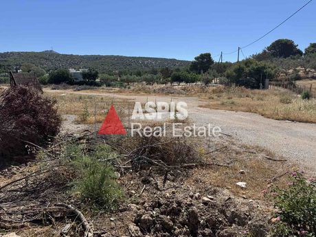 Οικόπεδο 13.000τ.μ. για πώληση-Λεγρενά
