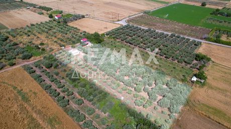 Detached home 72sqm for sale-Almiros » Neos Platanos