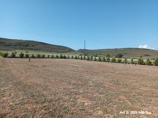 Αγροτεμάχια 6.057 τ.μ. για πώληση, Ν. Λέσβου, Λήμνος - Μούδρος-thumb-2