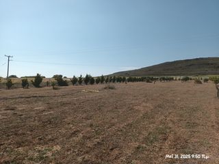 Αγροτεμάχια 6.057 τ.μ. για πώληση, Ν. Λέσβου, Λήμνος - Μούδρος-thumb-5