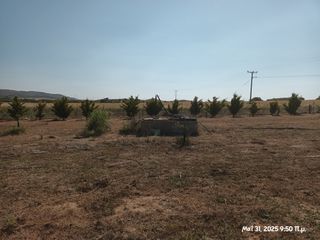 Αγροτεμάχια 6.057 τ.μ. για πώληση, Ν. Λέσβου, Λήμνος - Μούδρος-thumb-6