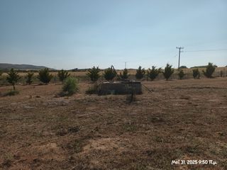 Αγροτεμάχια 6.057 τ.μ. για πώληση, Ν. Λέσβου, Λήμνος - Μούδρος-thumb-7