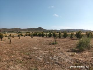 Αγροτεμάχια 6.057 τ.μ. για πώληση, Ν. Λέσβου, Λήμνος - Μούδρος-thumb-8