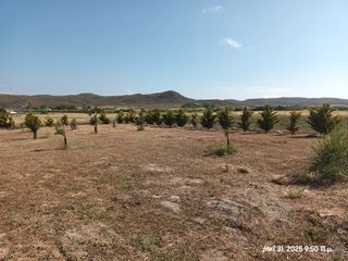 Αγροτεμάχια 6.057 τ.μ. για πώληση, Ν. Λέσβου, Λήμνος - Μούδρος-thumb-9