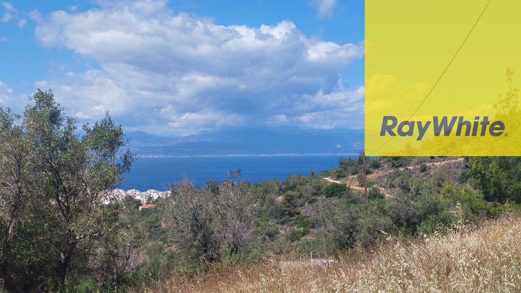 Αγροτεμάχια 11.500 τ.μ. προς πώληση, Λουτράκι Κορινθίας