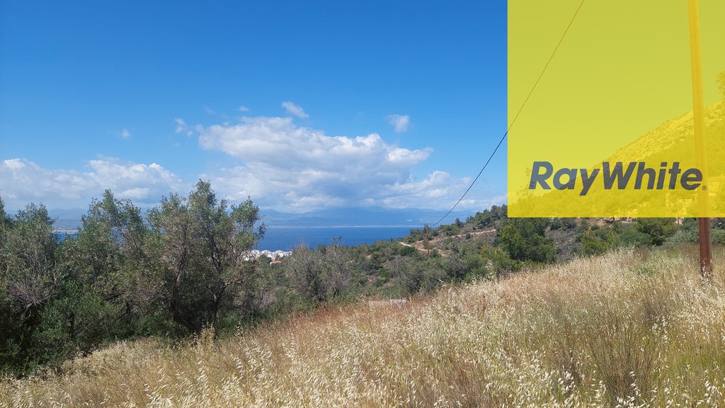 Αγροτεμάχια 11.500 τ.μ. προς πώληση, Λουτράκι Κορινθίας