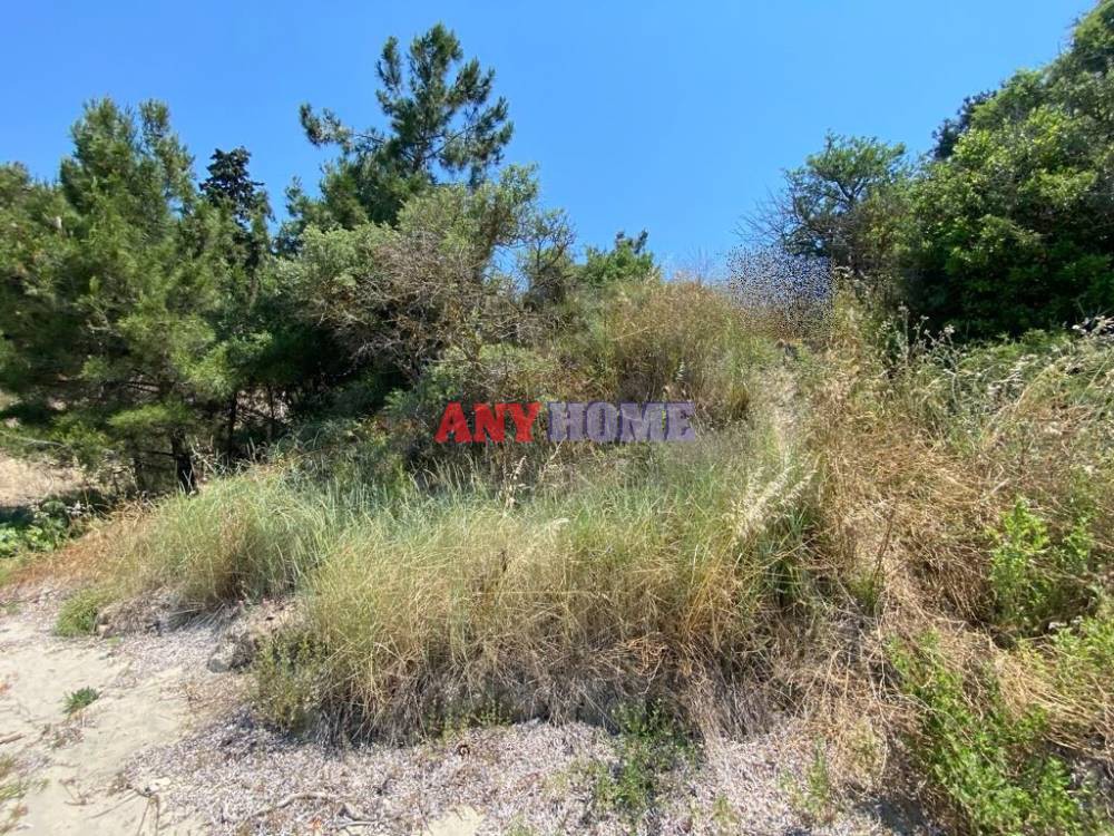 Αγροτεμάχια 3.730 τ.μ. προς πώληση, Πύργος Επανομής