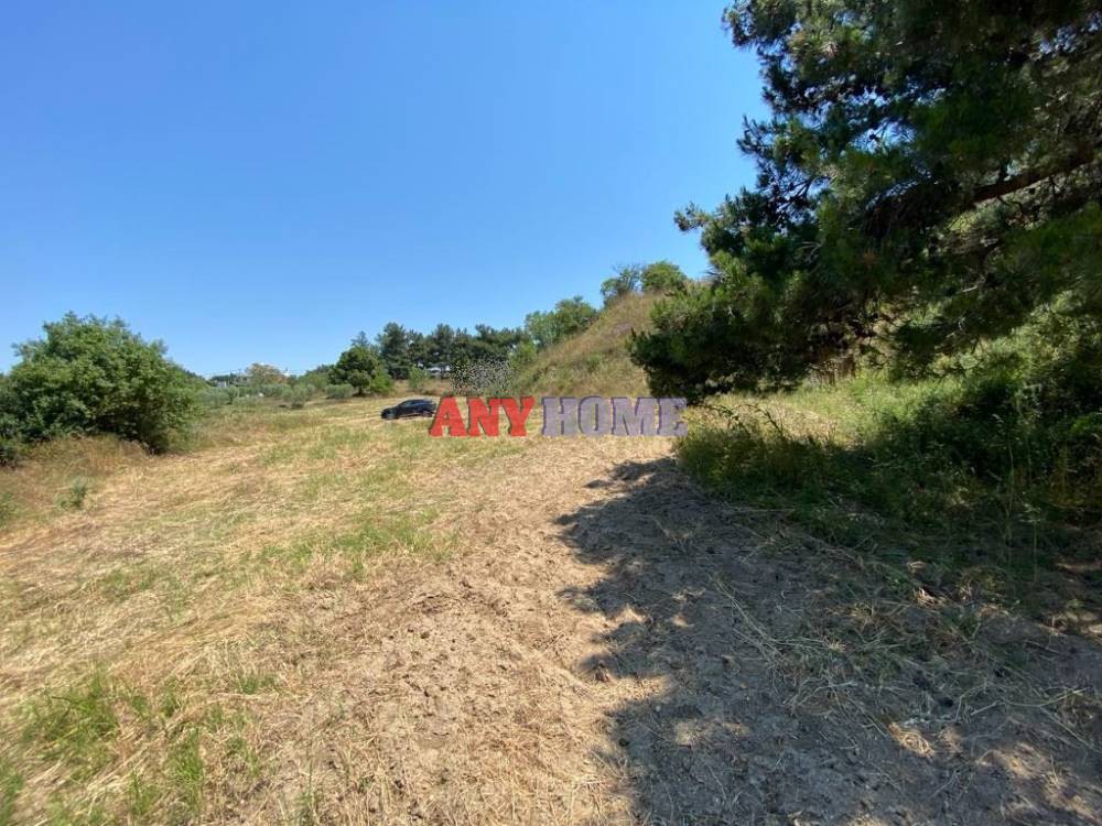 Αγροτεμάχια 3.730 τ.μ. προς πώληση, Πύργος Επανομής