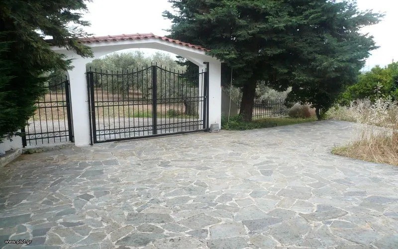 Διαμέρισμα 60 τ.μ. πρός πώληση, Φθιώτιδας, Δαφνούσες