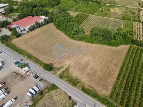 Αγροτεμάχια 18.650 τ.μ. για πώληση