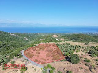 Οικόπεδο 8.021 τ.μ. για πώληση