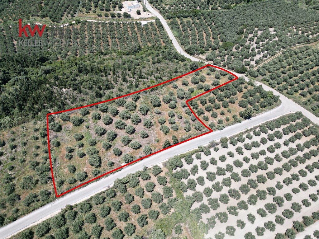 Οικόπεδο 6.385 τ.μ. προς πώληση, Κουρνά