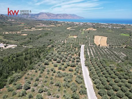 Οικόπεδο 6.385 τ.μ. για πώληση