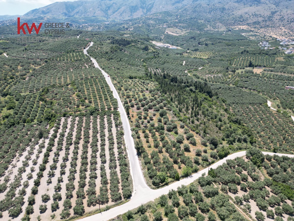 Οικόπεδο 6.385 τ.μ. προς πώληση, Κουρνά