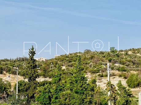 Μονοκατοικία 376τ.μ. για πώληση-Πετράλωνα » Άνω πετράλωνα