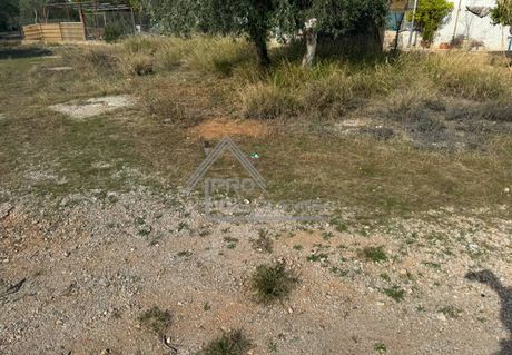 Αγροτεμάχια 326τ.μ. για πώληση-Νέα πέραμος (μεγάλο πεύκο) » Νέα πέραμος