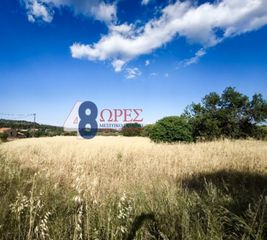Οικόπεδο 2.009 τ.μ. προς πώληση, Καμποχώρια-thumb-1