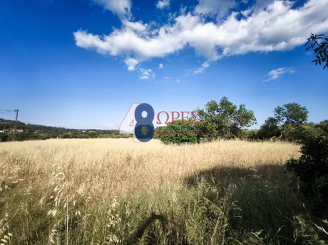 Land plot 2.009sqm for sale-Chios » Kampochoria