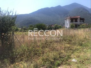 Οικόπεδο 905 τ.μ. πρός πώληση, Φωκίδα, Γραβιά-thumb-1
