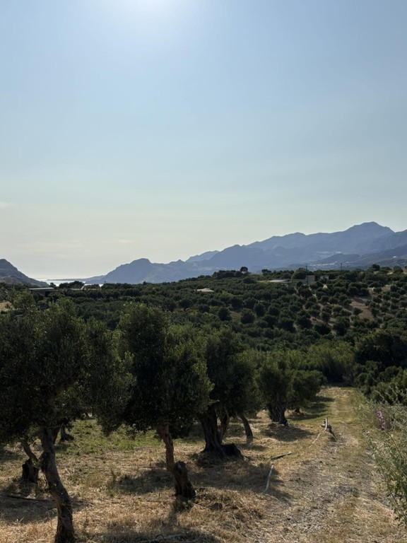 Αγροτεμάχια 4.260 τ.μ. πρός πώληση, Ν. Ρεθύμνου, Φοινίκας