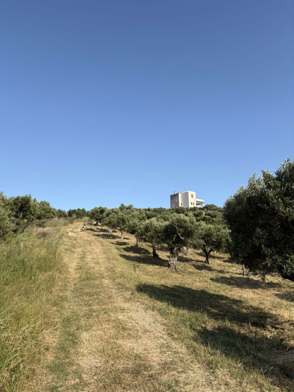 Αγροτεμάχια 4.260 τ.μ. πρός πώληση, Ν. Ρεθύμνου, Φοινίκας