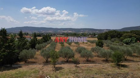 Μεζονέτα 483 τ.μ. για πώληση
