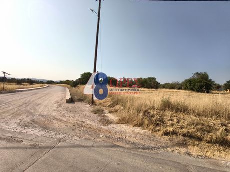 Land plot 2.009sqm for sale-Chios » Kampochoria