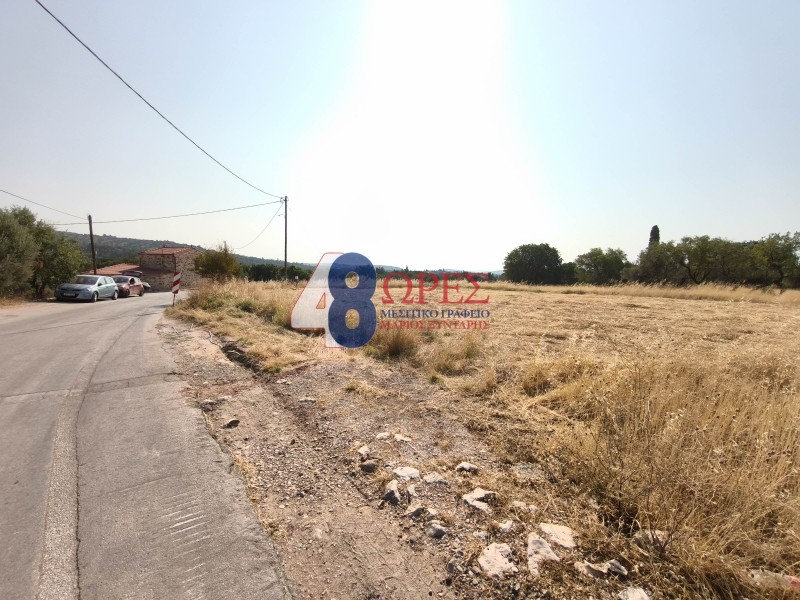 Οικόπεδο 2.009 τ.μ. προς πώληση, Καμποχώρια