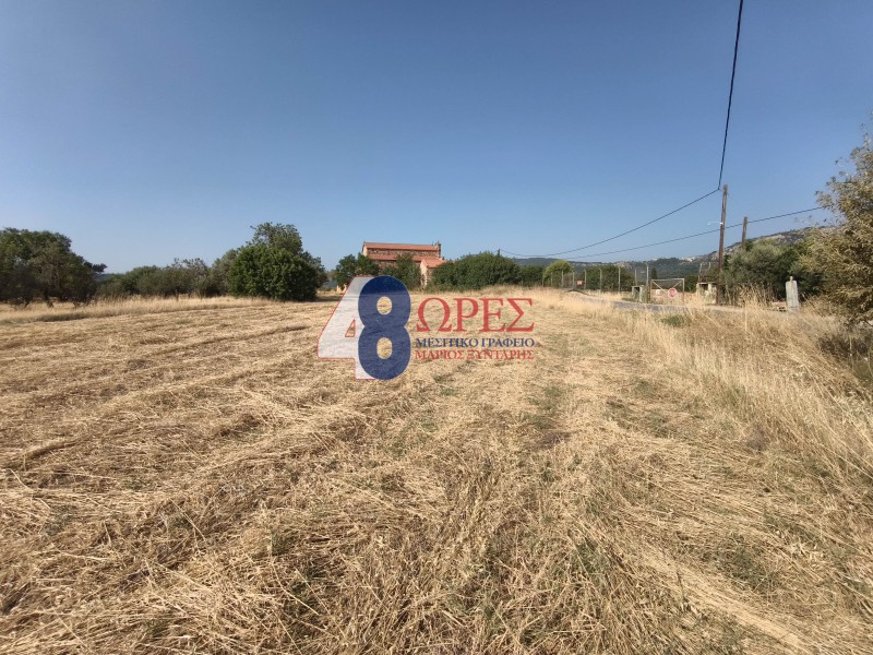 Οικόπεδο 2.009 τ.μ. προς πώληση, Καμποχώρια