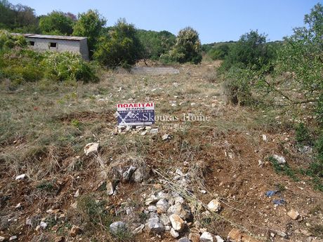 Οικόπεδο 306τ.μ. για πώληση-Μπιζάνιο
