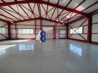 Αποθήκη 750 τ.μ. για ενοικίαση, Ν. Χίου, Χίος-thumb-14
