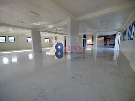 Warehouse 1.150sqm for rent-Chios » Agios Minas