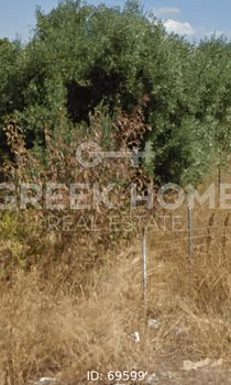 Οικόπεδο 1.250 τ.μ. για πώληση